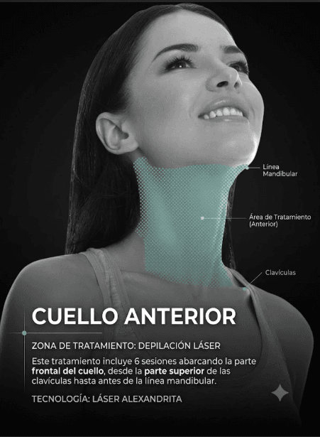 cuello anterior descripcion
